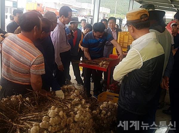 마늘줄기절단기 사진 ⓒSNT 세계뉴스통신