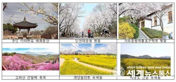 인천 봄꽃 명소