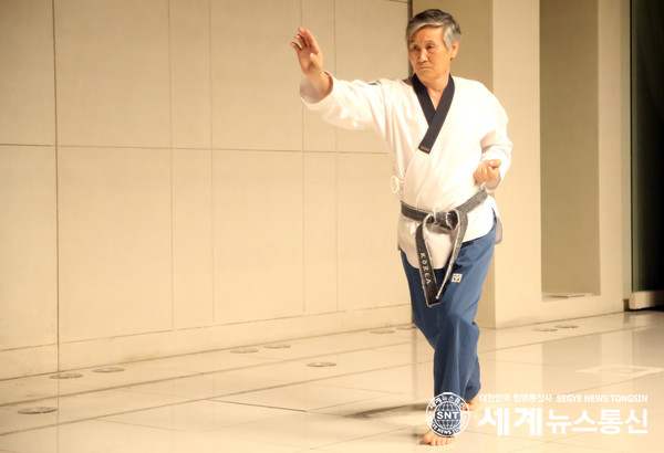 신병현9단 품새시연 장면 
